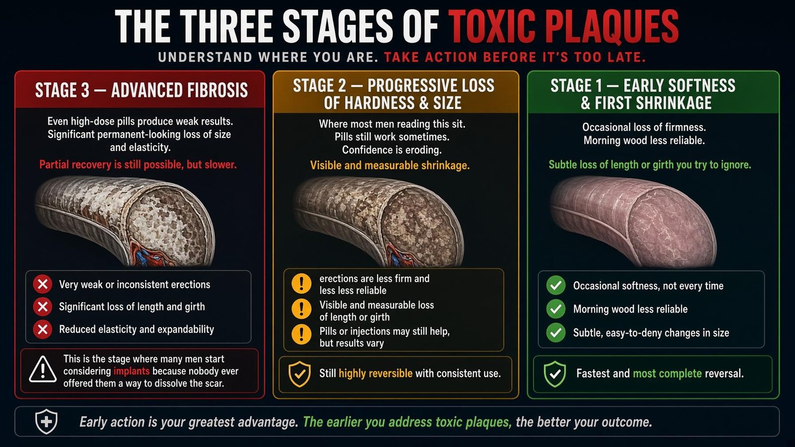 Three stages infographic